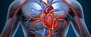 Kalp hastalıkları nasıl önlenir